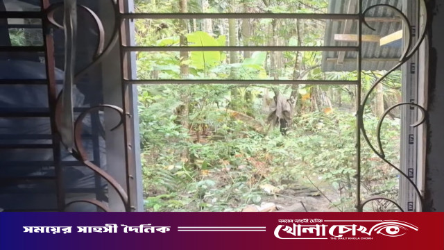 পিরোজপুরে ব্যবসায়ীর বাড়িতে ডাকাতি, টাকা ও স্বর্ণালংকার লুট