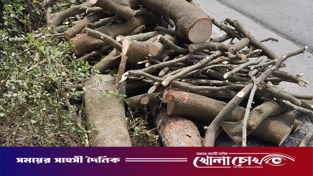 নগরকান্দায় মিথ্যা মামলায় জেলে পাঠিয়ে গাছ কেটে নেওয়ার অভিযোগ, থানায় লিখিত অভিযোগ