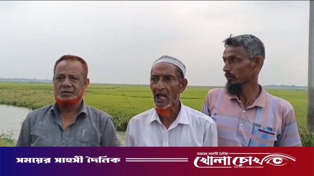 নেত্রকোনার মদনে জ্বালানি তেলের তীব্র সংকট: মাঠভরা পাকা ধান নিয়ে মহাবিপাকে কৃষক