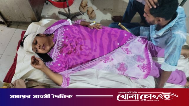 ফরিদপুরে পিংক শপিং সেন্টারের মালিকানা নিয়ে দ্বন্দ্ব, হামলায় আহত শারমিন আশা