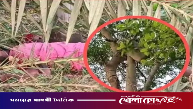 মঠবাড়িয়ায় বৈদ্যুতিক ট্রান্সমিটার চুরি করতে গিয়ে যুবকের মৃত্যু