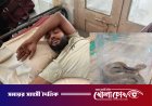 কামড় দেওয়া জীবিত সাপ নিয়েই হাসপাতালে যুবক