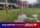 সালথায় চর বল্লভদী সরকারি প্রাথমিক বিদ্যালয়ের মাঠে জলাবদ্ধতা: চরম দুর্ভোগে শিক্ষার্থীরা