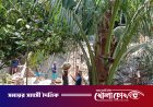 সদরপুরে খাল দখল করে পাকা স্থাপনা তৈরির অভিযোগ