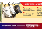 ঢাকার পশুর হাটে ইজারা যুদ্ধের নতুন সমীকরণ: মুখোমুখি বিএনপি ও জামায়াত