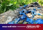 রাঙ্গাবালীতে জমি নিয়ে বিরোধ: রাতের আঁধারে কবরস্থান ভাঙচুর ও গাছ কাটার অভিযোগ