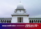 গর্ভের সন্তান ছেলে না মেয়ে, প্রকাশ করা যাবে না: হাইকোর্টের রায়