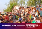 সুন্দরবনে বাঘের থাবায় মৌয়াল আহত