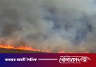 দক্ষিণ ফ্লোরিডায় ভয়াবহ দাবানল: পুড়ে ছারখার ৭ হাজার একর বনভূমি