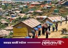 সীমান্তে থামছে না রোহিঙ্গা অনুপ্রবেশ: ১৬ মাসে দেশে এসেছে দেড় লাখ