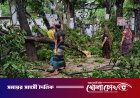 সদরপুরে কালবৈশাখী ঝড়ের ভয়াবহ তাণ্ডব: লণ্ডভণ্ড ঘরবাড়ি ও ফসলি জমি, বিপর্যস্ত জনজীবন