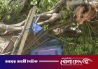 ভারতে ঝড়-বজ্রপাতে নিহতের সংখ্যা বেড়ে ৫৬: উত্তরপ্রদেশে প্রকৃতির ভয়াবহ তাণ্ডব
