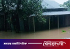 পাহাড়ি ঢল ও অতিবৃষ্টিতে ডুবল ময়মনসিংহ-শেরপুরের নিম্নাঞ্চল: পানিবন্দি হাজারো মানুষ