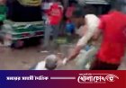 ফরিদপুরে লিচু চুরির প্রতিবাদ করায় বৃদ্ধকে পিটিয়ে হত্যার অভিযোগ, এলাকায় উত্তেজনা