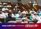 সংবিধান সংশোধন কমিটিতে থাকছে না বিরোধী জোট, সমাধানের আশায় সরকার