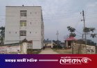 গাছে বাঁধা দেহ, মাটিতে মাথা,নির্মম হত্যা