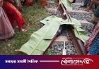 ফরিদপুরের নগরকান্দায় ট্রেনে কাটা পড়ে অজ্ঞাত ব্যক্তির মৃত্যু, পরিচয় শনাক্তে পুলিশ