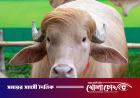 দিনে ২৫ কেজি ঘাস খাচ্ছে ‘ডোনাল্ড ট্রাম্প’
