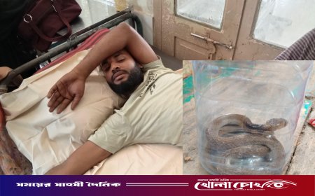 কামড় দেওয়া জীবিত সাপ নিয়েই হাসপাতালে যুবক