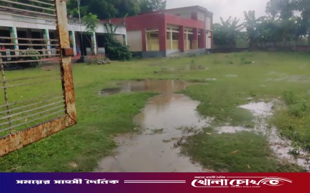 সালথায় চর বল্লভদী সরকারি প্রাথমিক বিদ্যালয়ের মাঠে জলাবদ্ধতা: চরম দুর্ভোগে শিক্ষার্থীরা