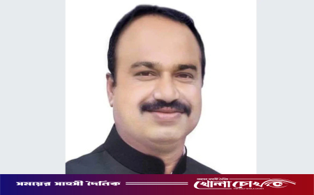 হত্যা মামলায় মির্জাপুর উপজেলা আওয়ামী লীগ নেতা শামীম কারাগারে