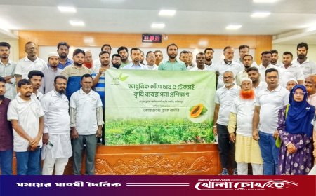 ফরিদপুরে ব্র্যাক নার্সারির উদ্যোগে আধুনিক পদ্ধতিতে পেঁপে চাষের প্রশিক্ষণ সম্পন্ন