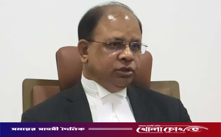 শাপলা চত্বর হত্যাকাণ্ডে ৫৮ নিহতের পরিচয় শনাক্ত : চিফ প্রসিকিউটর
