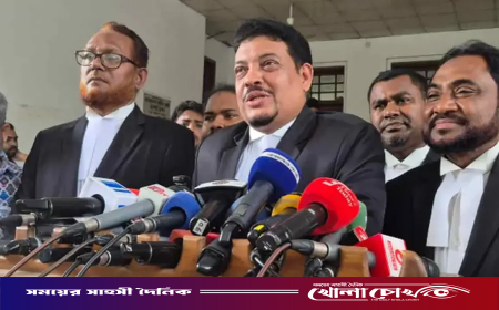 সহকারী অ্যাটর্নি জেনারেল তারিকুল ইসলামের পদত্যাগ