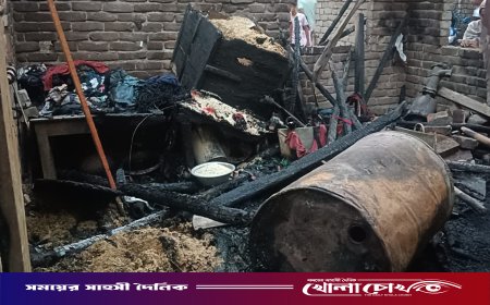 দৌলতপুরে বৈদ্যুতিক শর্ট-সার্কিটের আগুনে কৃষকের বসতবাড়ি পুড়ে ছাই