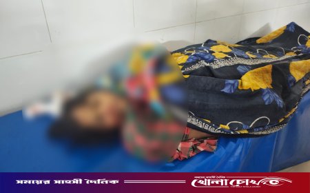 বোয়ালমারীতে ট্রেনের নিচে ঝাঁপ দিয়ে গৃহবধূর আত্মহত্যা