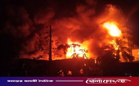 রাজধানীর কদমতলীতে ফোমের মিলে ভয়াবহ আগুন, নিয়ন্ত্রণে ৫ ইউনিট