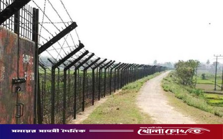 ব্রাহ্মণবাড়িয়া সীমান্তে বিএসএফের গুলিতে ২ বাংলাদেশি নিহত, আহত আরও ২