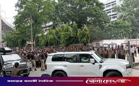 বিএনপিসহ চার সংগঠনের নেতাকর্মীদের সঙ্গে মতবিনিময়ে প্রধানমন্ত্রী তারেক রহমান