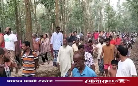 গাজীপুরে গরু চোর সন্দেহে গণপিটুনিতে ৩ জনের মৃত্যু; পিকআপে আগুন