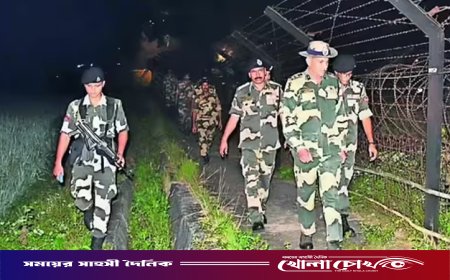 দুই বাংলাদেশিকে গুলি করে হত্যার কারণ জানাল বিএসএফ