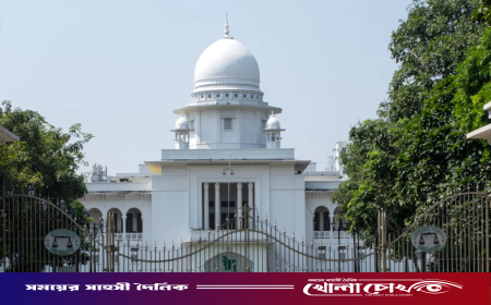 হামে ৩৫২ শিশুর মৃত্যু, পরিবারপ্রতি ২ কোটি টাকা ক্ষতিপূরণ চেয়ে হাইকোর্টে রিট