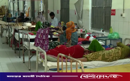 সিলেটে হামের ভয়াবহ প্রকোপ: প্রাণ হারিয়েছে ২৭ শিশু, হাসপাতালে উপচে পড়া ভিড়