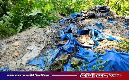 রাঙ্গাবালীতে জমি নিয়ে বিরোধ: রাতের আঁধারে কবরস্থান ভাঙচুর ও গাছ কাটার অভিযোগ