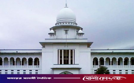 গর্ভের সন্তান ছেলে না মেয়ে, প্রকাশ করা যাবে না: হাইকোর্টের রায়