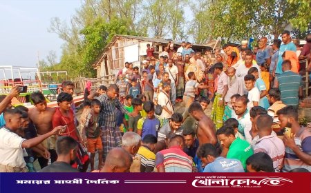 সুন্দরবনে বাঘের থাবায় মৌয়াল আহত