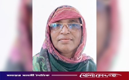 হাজিরা খাতায় মা, ক্লাসে ছেলে: চাঁদপুরে সরকারি প্রাথমিক বিদ্যালয়ে অভিনব অনিয়ম