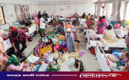 দেশে হামের ভয়াবহ বিস্তার: ‘জরুরি অবস্থা’ ঘোষণার দাবি বিশেষজ্ঞদের, সরকারের ভিন্নমত