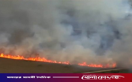 দক্ষিণ ফ্লোরিডায় ভয়াবহ দাবানল: পুড়ে ছারখার ৭ হাজার একর বনভূমি