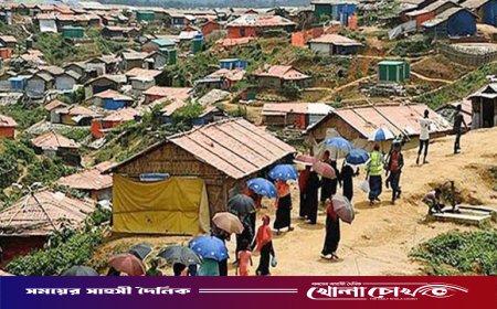 সীমান্তে থামছে না রোহিঙ্গা অনুপ্রবেশ: ১৬ মাসে দেশে এসেছে দেড় লাখ