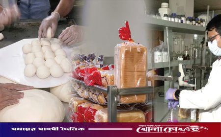 পাউরুটিতে ক্যানসারের বিষ, ঘিয়ে নেই দুধের লেশ: মালিকদের বিরুদ্ধে গ্রেপ্তারি পরোয়ানা
