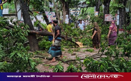 সদরপুরে কালবৈশাখী ঝড়ের ভয়াবহ তাণ্ডব: লণ্ডভণ্ড ঘরবাড়ি ও ফসলি জমি, বিপর্যস্ত জনজীবন