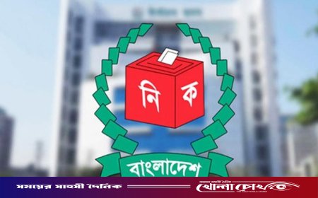 স্থানীয় নির্বাচনে বড় সংস্কারের পথে ইসি: বিধিমালার তুলনামূলক রূপরেখা তৈরির নির্দেশ