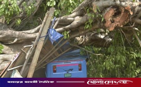 ভারতে ঝড়-বজ্রপাতে নিহতের সংখ্যা বেড়ে ৫৬: উত্তরপ্রদেশে প্রকৃতির ভয়াবহ তাণ্ডব