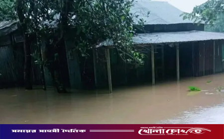 পাহাড়ি ঢল ও অতিবৃষ্টিতে ডুবল ময়মনসিংহ-শেরপুরের নিম্নাঞ্চল: পানিবন্দি হাজারো মানুষ