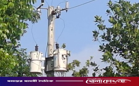 কালবৈশাখীর ছোবলে টানা চার দিন বিদ্যুৎহীন সদরপুর